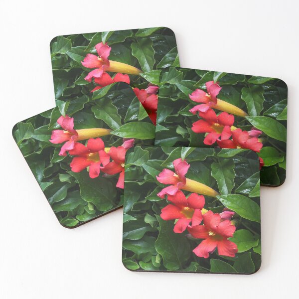 Item preview, Three Beauties designed and sold by heatherfriedman.