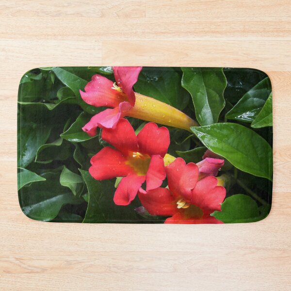Item preview, Three Beauties designed and sold by heatherfriedman.