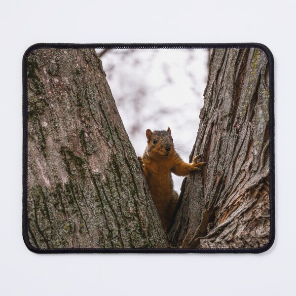 Item preview, Peaking Over designed and sold by TheeForestFox Shop.