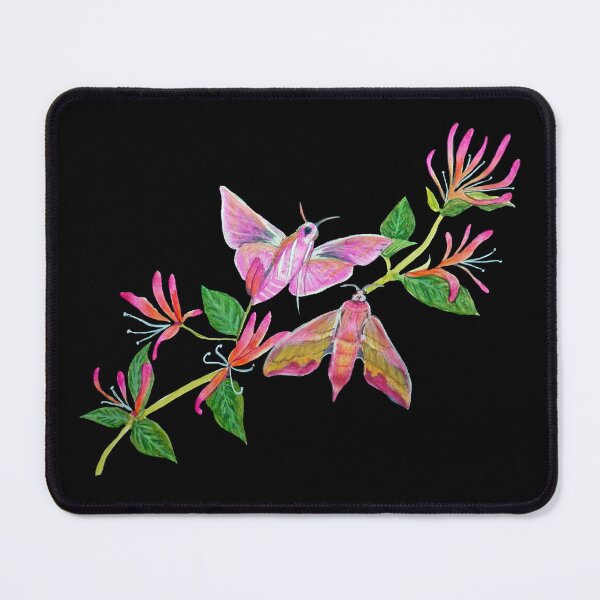 Item preview, Elephant Hawk Moths and honeysuckle botanical art designed and sold by MagentaRose.