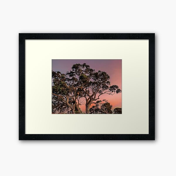 Item preview, Gum trees designed and sold by andreisky.