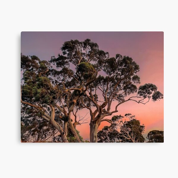 Item preview, Gum trees designed and sold by andreisky.
