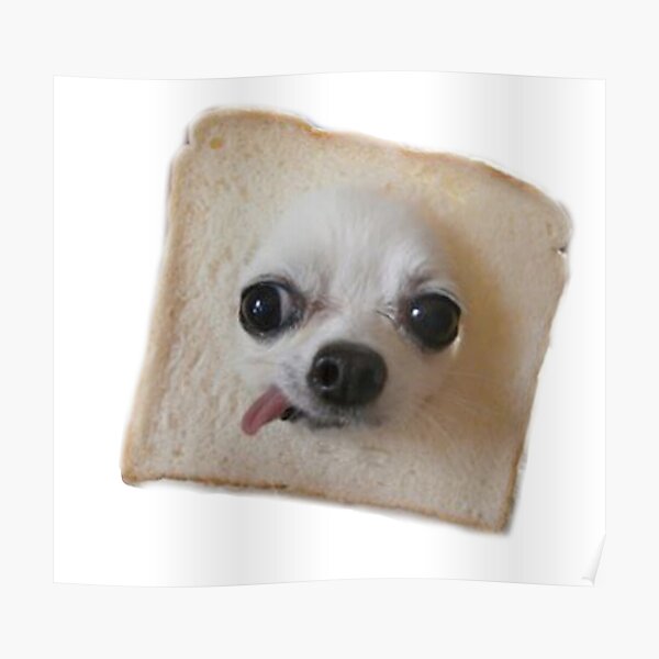 Bread Doggo #1 Poster
