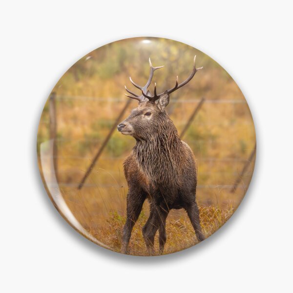 Item preview, The Great Stag - Rannoch Moor designed and sold by Captain747.