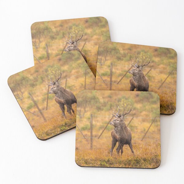 Item preview, The Great Stag - Rannoch Moor designed and sold by Captain747.