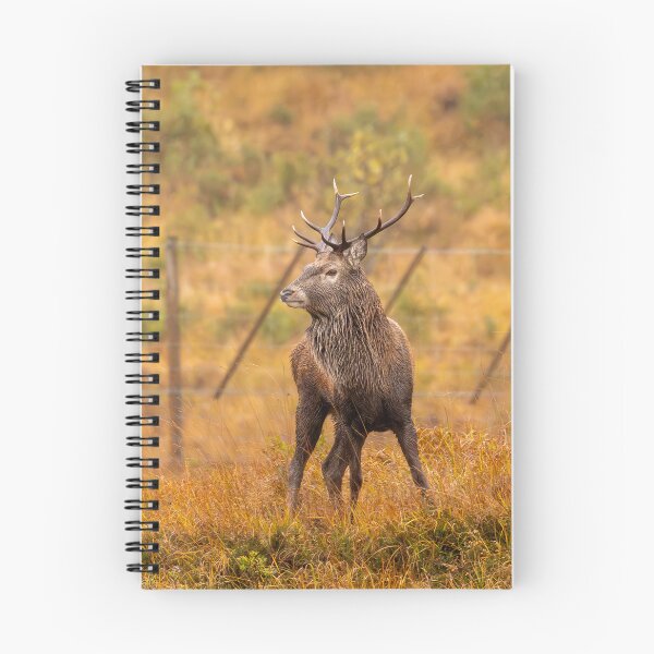 Item preview, The Great Stag - Rannoch Moor designed and sold by Captain747.