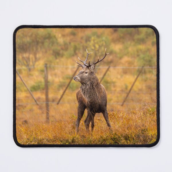 Item preview, The Great Stag - Rannoch Moor designed and sold by Captain747.