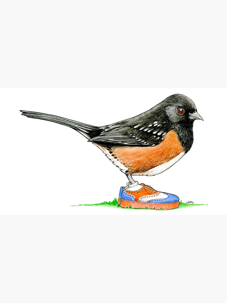 Thumbnail 7 of 7, Cap, Spotted Towhee in Oxford Sneakers designed and sold by JimsBirds.