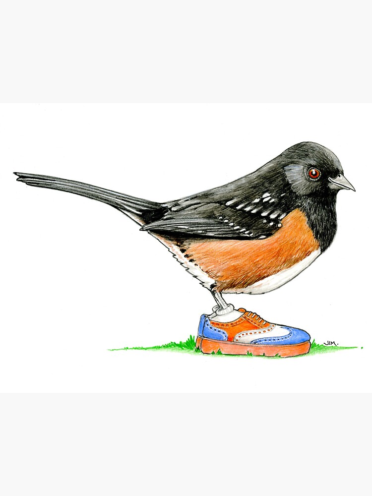 Thumbnail 3 of 3, Sticker, Spotted Towhee in Oxford Sneakers designed and sold by JimsBirds.