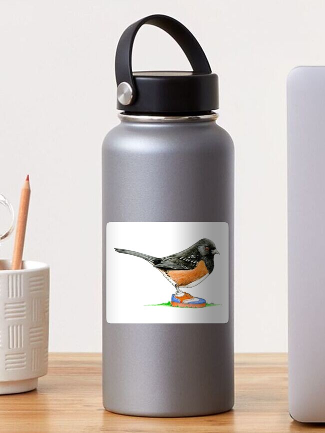 Thumbnail 1 of 3, Sticker, Spotted Towhee in Oxford Sneakers designed and sold by JimsBirds.