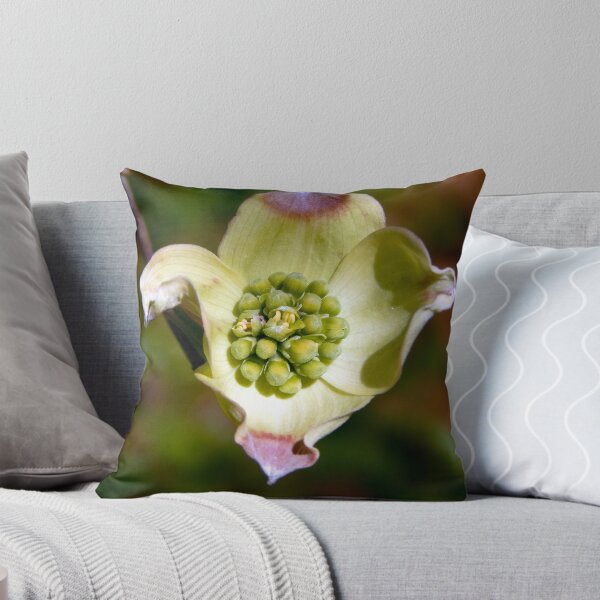 Aperçu de l'œuvre Floraison précoce du cornouiller créée et vendue par gistinker.