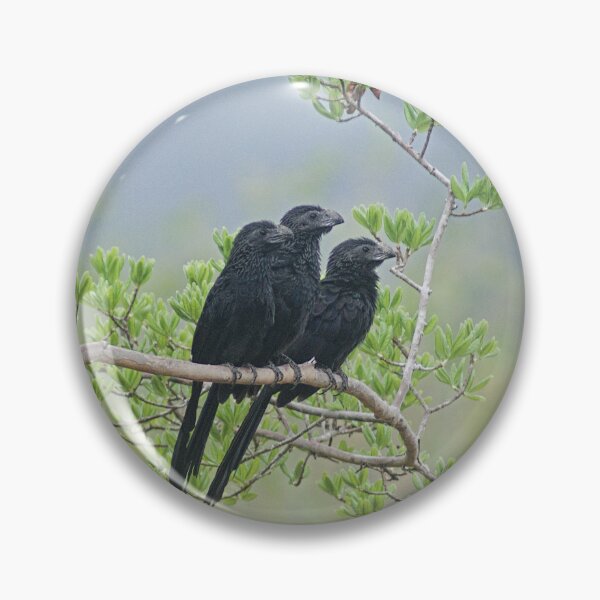 Item preview, Alk 3 black birds designed and sold by pcfyi.