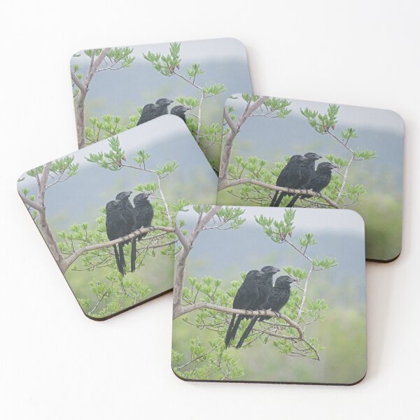 Item preview, Alk 3 black birds designed and sold by pcfyi.