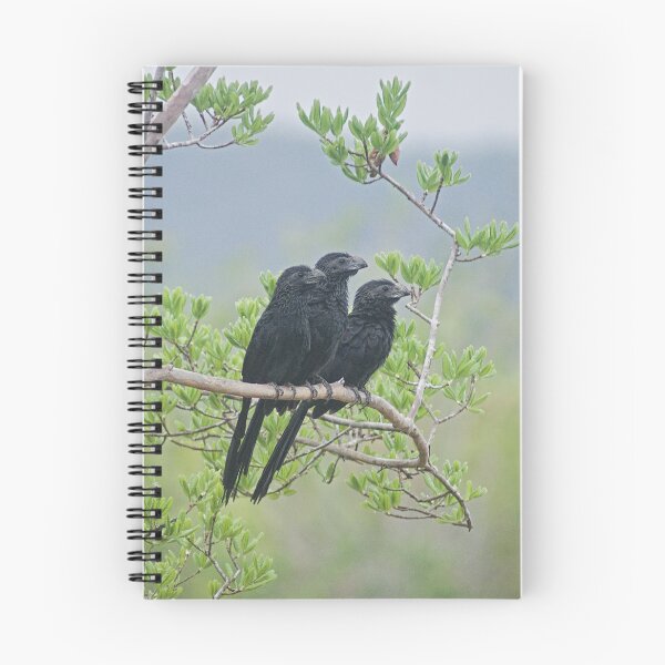 Item preview, Alk 3 black birds designed and sold by pcfyi.