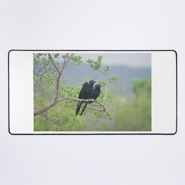 Item preview, Alk 3 black birds designed and sold by pcfyi.
