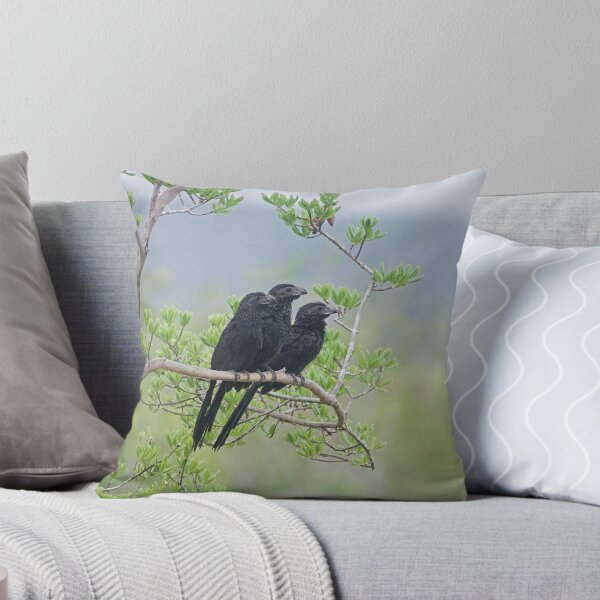 Item preview, Alk 3 black birds designed and sold by pcfyi.