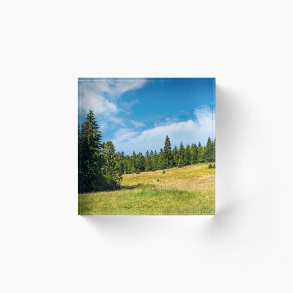 spruce forest on a grassy meadow Acrylic Block