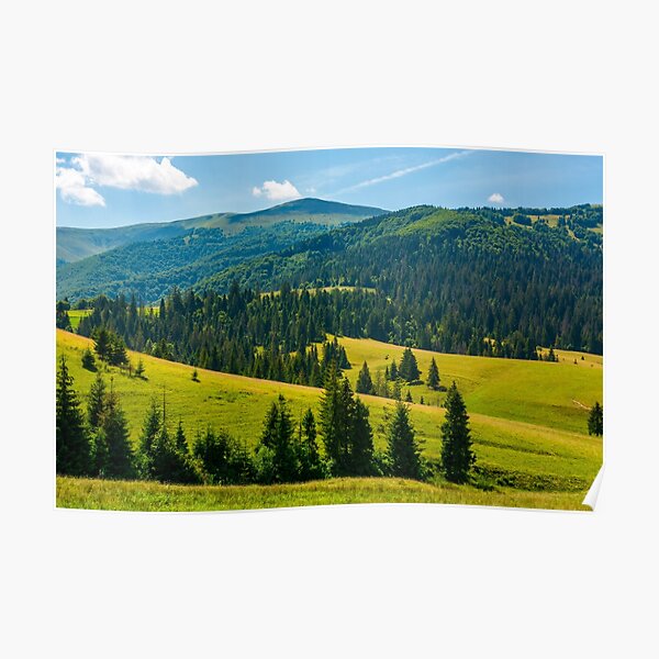 beautiful summer landscape in mountains Poster