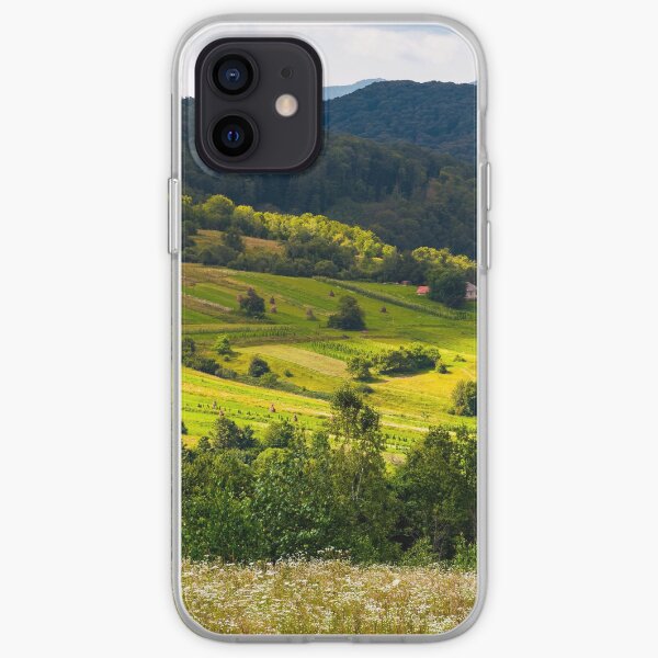 small Carpathian village in mountains iPhone Soft Case