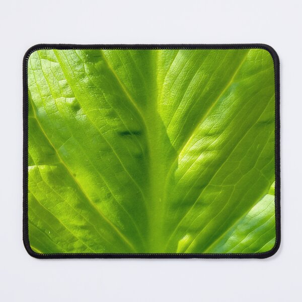 Item preview, Fresh Spring Leaf designed and sold by bjtomiko.
