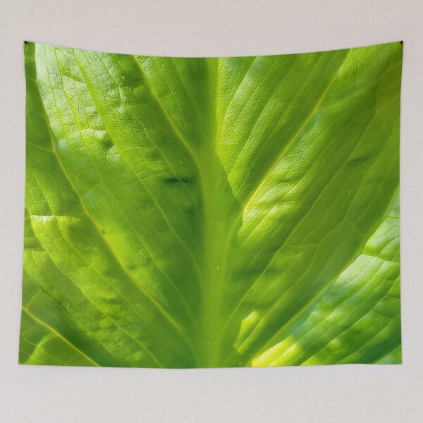 Item preview, Fresh Spring Leaf designed and sold by bjtomiko.