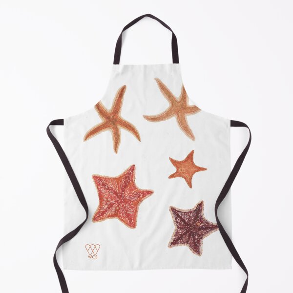 Hudson Canyon Starfishes Apron