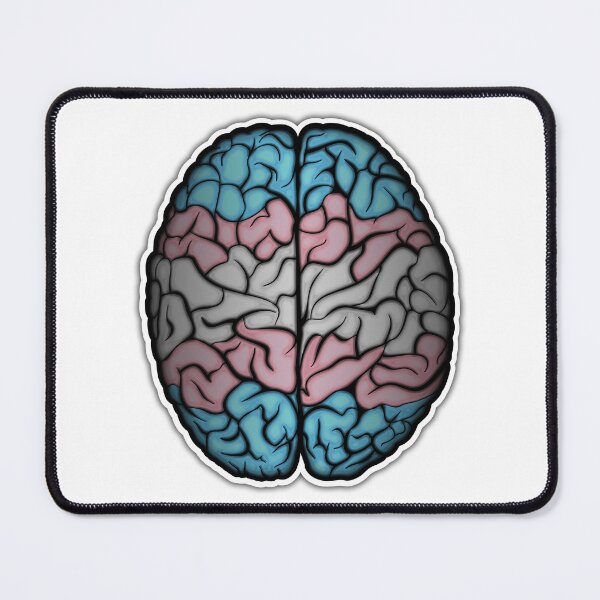 Item preview, Transgender Pride Flag Colored Brain Vector designed and sold by LiveLoudGraphic.