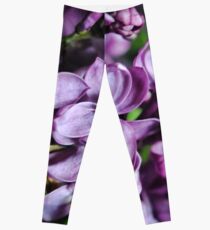 Macro Lilacs Leggings