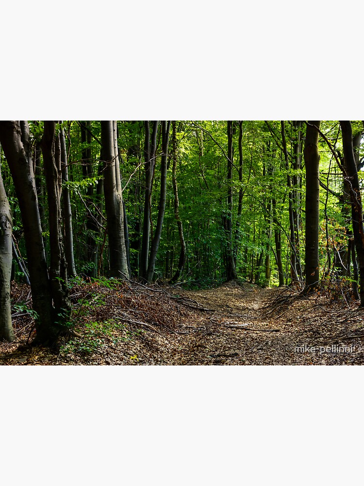 Thumbnail 3 of 3, Sticker, road through forest covered with weathered foliage designed and sold by mike-pellinni.