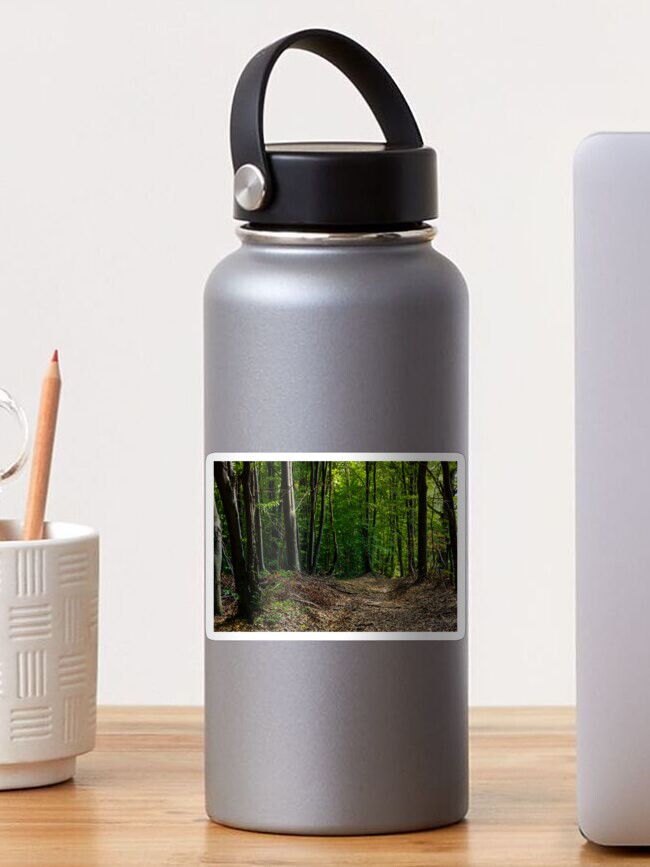 Thumbnail 1 of 3, Sticker, road through forest covered with weathered foliage designed and sold by mike-pellinni.