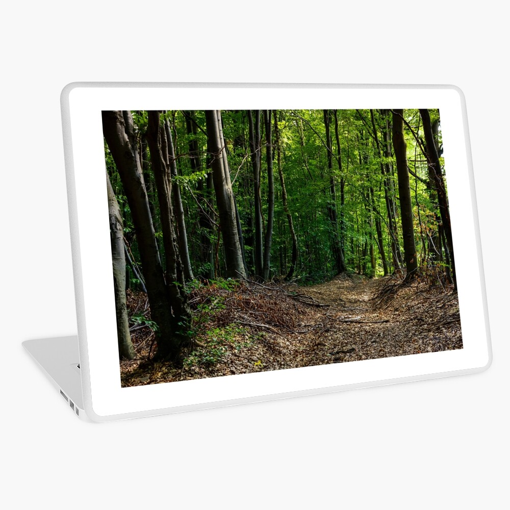Item preview, Laptop Skin designed and sold by mike-pellinni.