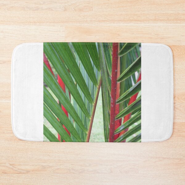 Item preview, Red Lipstick Palm (Cyrtostachys renda) designed and sold by Quantum-Life.