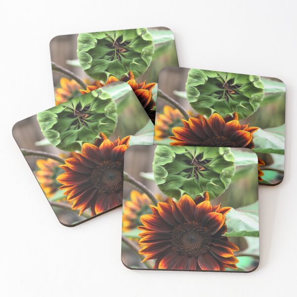 Item preview,  The Sunflower Set. ( 2 )  Before & After designed and sold by Larry Davis.