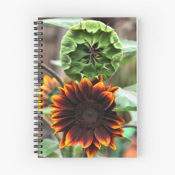 Item preview,  The Sunflower Set. ( 2 )  Before & After designed and sold by Larry Davis.