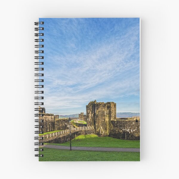 Item preview, Caerphilly Castle Panorama designed and sold by Steve Purnell Photography.