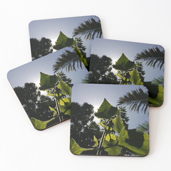 Item preview, Beautiful low angle plant leaf wallpaper  ||  Flower Photography designed and sold by Yusuf-Design.
