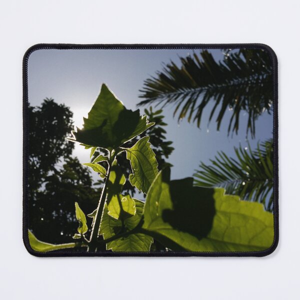 Item preview, Beautiful low angle plant leaf wallpaper || Flower Photography designed and sold by Yusuf-Design.