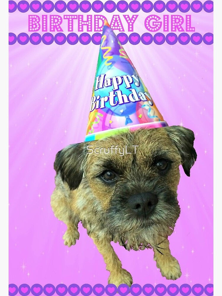 border terrier birthday