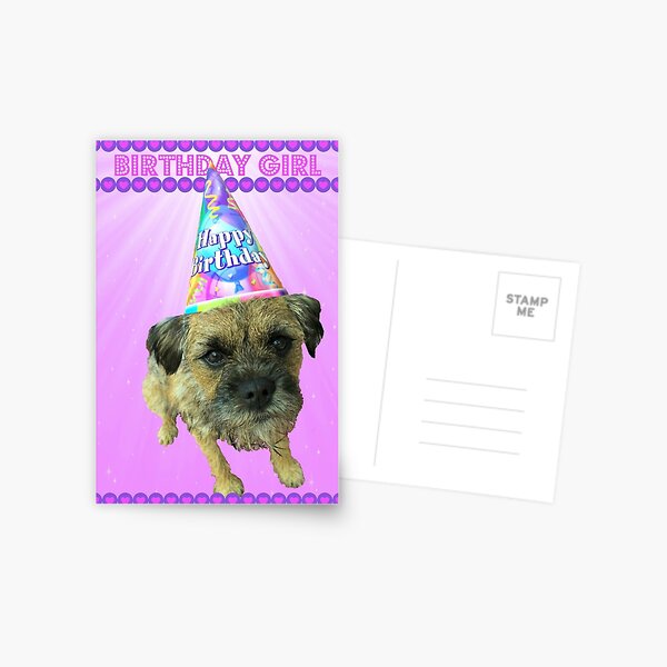 Border Terrier Birthday Girl Card Pink Postcard