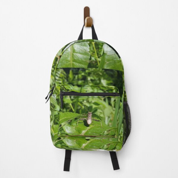 Item preview, Lupine Bug (Riptortus Dentipes) wallpaper resting on a fern leaf designed and sold by Yusuf-Design.