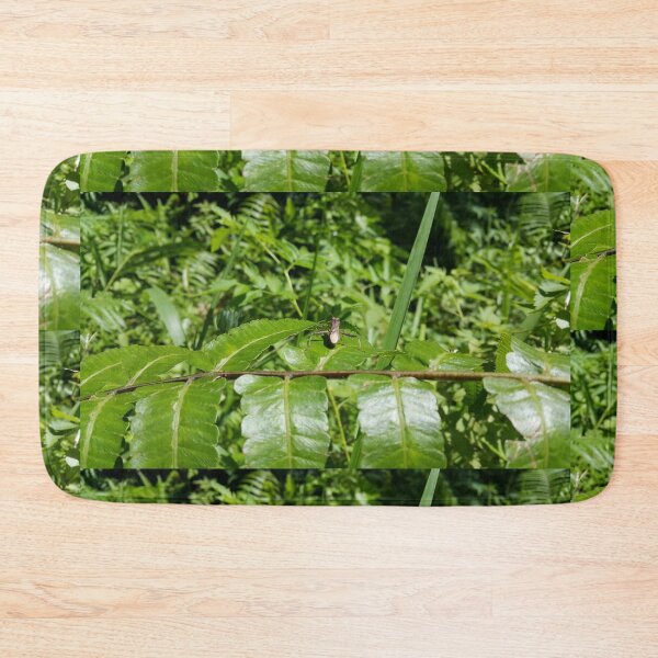 Item preview, Lupine Bug (Riptortus Dentipes) wallpaper resting on a fern leaf designed and sold by Yusuf-Design.