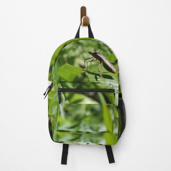 Item preview, Close Up Shot of Lupine Bug (Riptortus Linearis) on green leaf under the hot sun. designed and sold by Yusuf-Design.