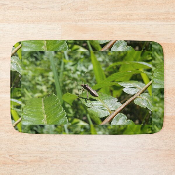 Item preview, Close Up Shot of Lupine Bug (Riptortus Linearis) on green leaf under the hot sun. designed and sold by Yusuf-Design.