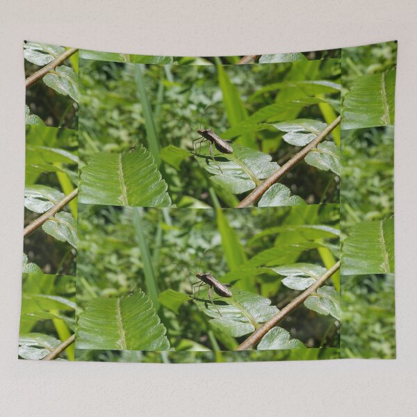 Item preview, Close Up Shot of Lupine Bug (Riptortus Linearis) on green leaf under the hot sun. designed and sold by Yusuf-Design.