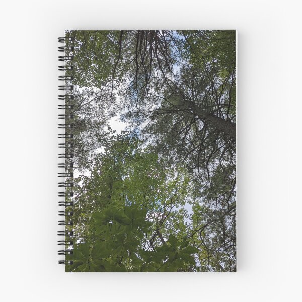 Item preview, Looking Up designed and sold by IntoOurWoods.