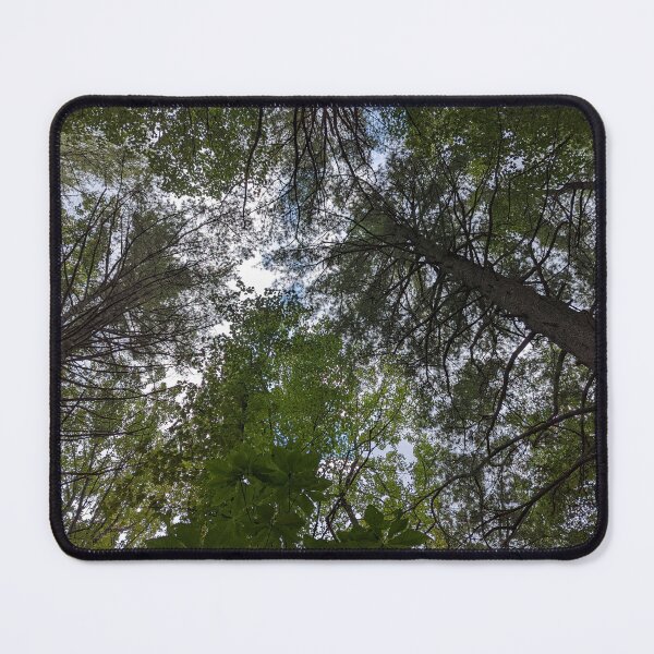 Item preview, Looking Up designed and sold by IntoOurWoods.