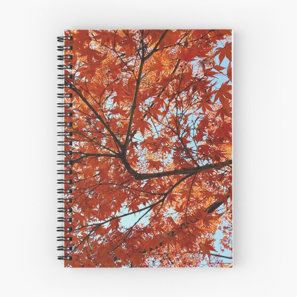 Item preview, Japan Fall Foliage - Autumn Leaves designed and sold by TalBright.