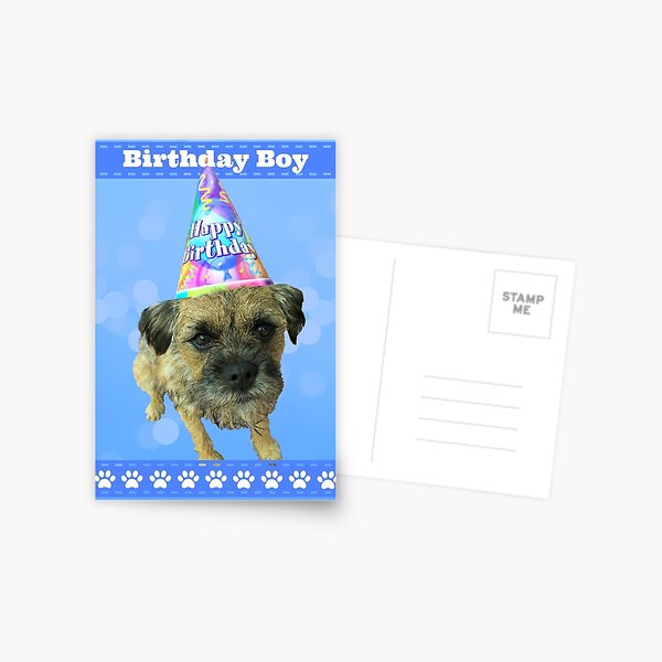 Border Terrier Birthday Boy Card Blue Postcard