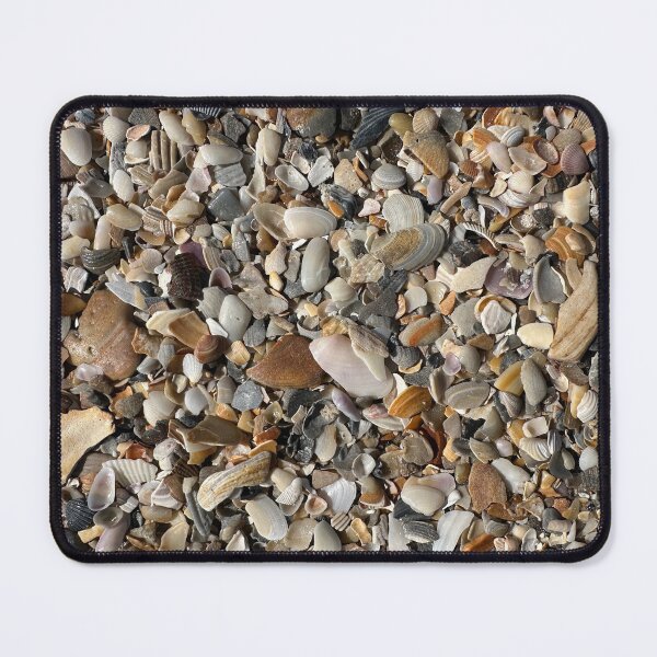Item preview, Little Shells on the Beach designed and sold by Easley-Does-It.
