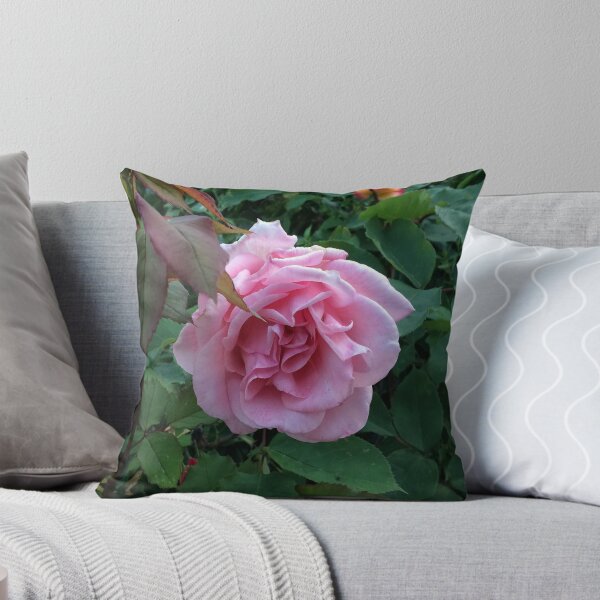 Item preview, The big pink rose designed and sold by Tony Broadbent.